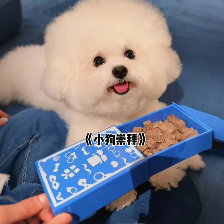 【视频同款】狗狗趣味魔术盒冻干消失盒逗狗玩具魔术宠物礼物搞怪盒