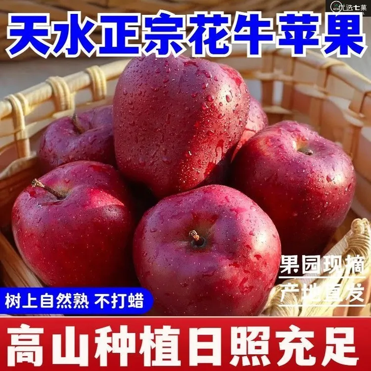 甘肃天水老式花牛苹果新鲜现摘当季水果适合宝宝老人辅食