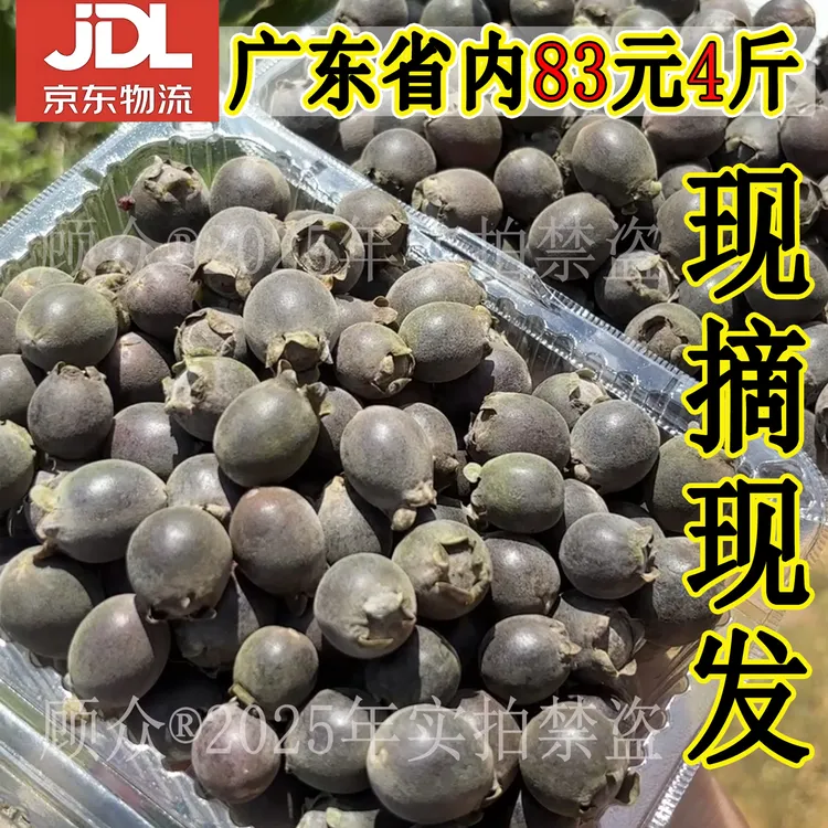 【广东专享/京东】新鲜山捻子桃金娘果成熟当季鲜果泡酒水果多尼果