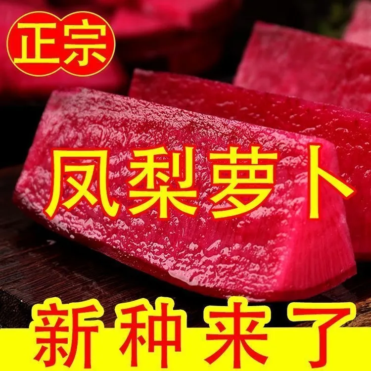 【夏季可种】新品种凤梨水果萝卜种子生吃紫美人萝卜胭脂萝卜籽