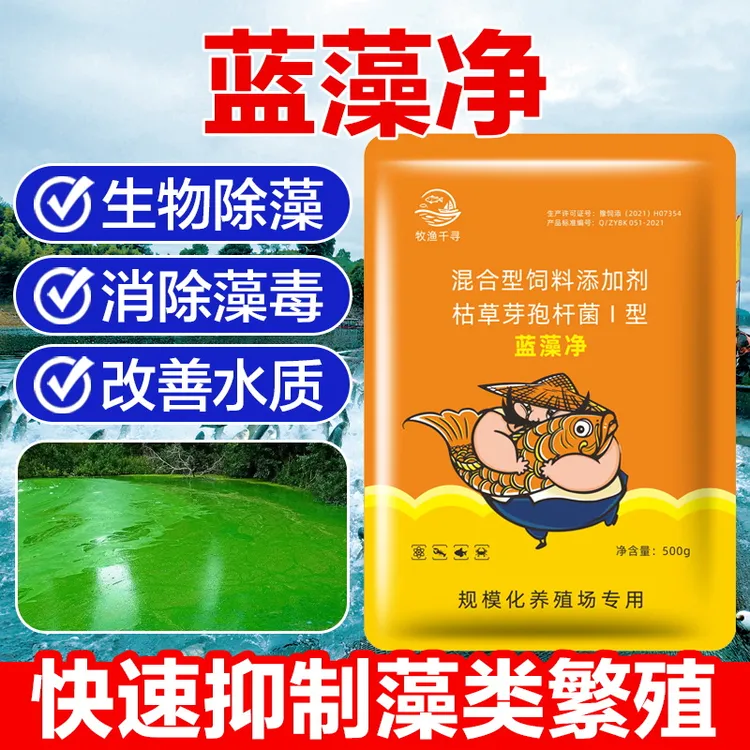 蓝藻净生物除藻不倒藻不耗氧水产养殖鱼塘蓝藻抑制不残留藻毒素