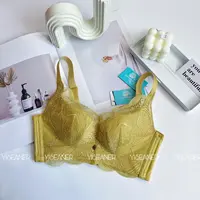 范波波专柜款内衣2303 四排扣调整型无钢圈小胸聚拢蕾丝透气文胸