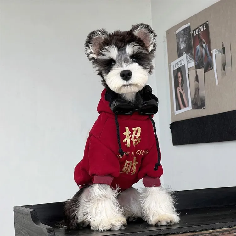 衣服狗狗冬装小型犬雪纳瑞泰迪博美过年保暖新年喜庆秋冬