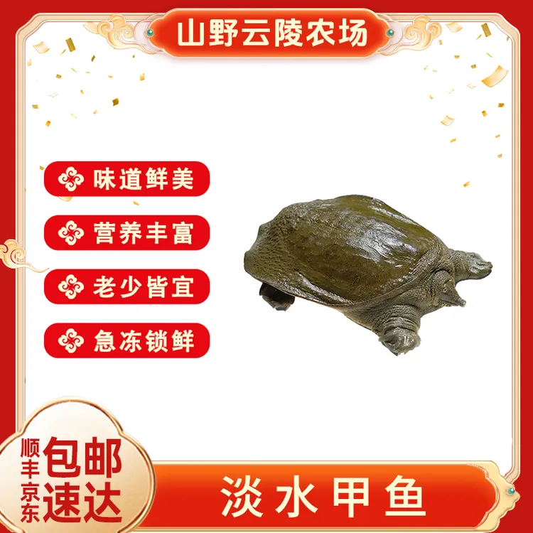 山野云陵农场鲜冻甲鱼（550-650g）/只速冻锁鲜肉质肥厚胶质满满