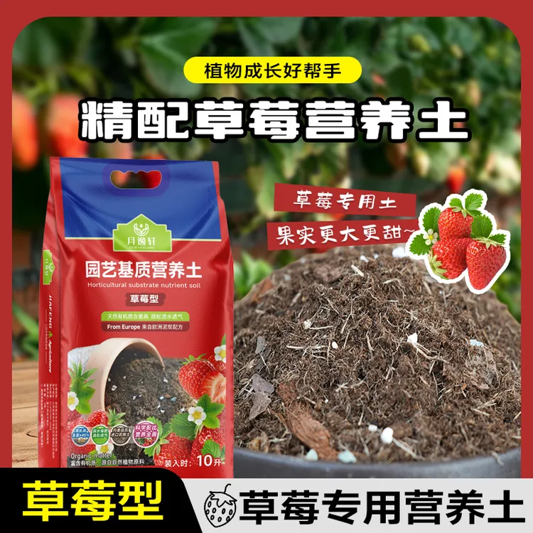 种草莓专用土壤种植土泥炭土粗颗粒椰壳泥炭通用土营养