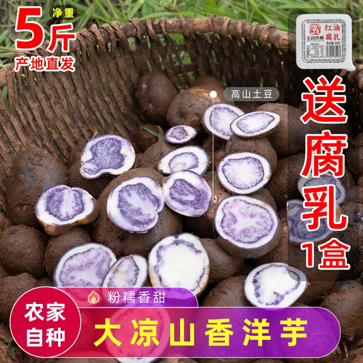 凉山土豆新鲜紫色七彩洋芋花心马铃薯高山乌洋芋2/5/9斤