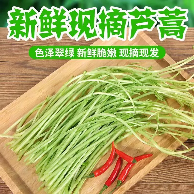 现摘现发新鲜农家蔬菜嫩芦蒿杆子藜蒿手工去叶老根净菜泥蒿芦蒿
