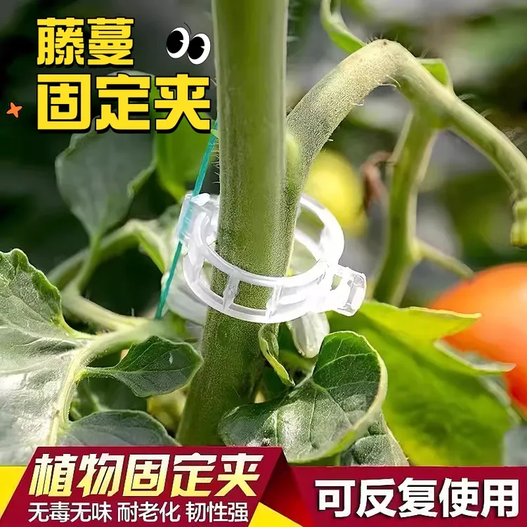 爬藤植物固定夹绿色卡扣蔬菜番茄花卉瓜果枝条藤蔓黄瓜绑枝固定器
