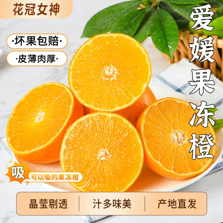 【现摘果冻橙】头茬四川爱媛38号果冻橙皮薄无籽爱媛橙采摘坏果包赔