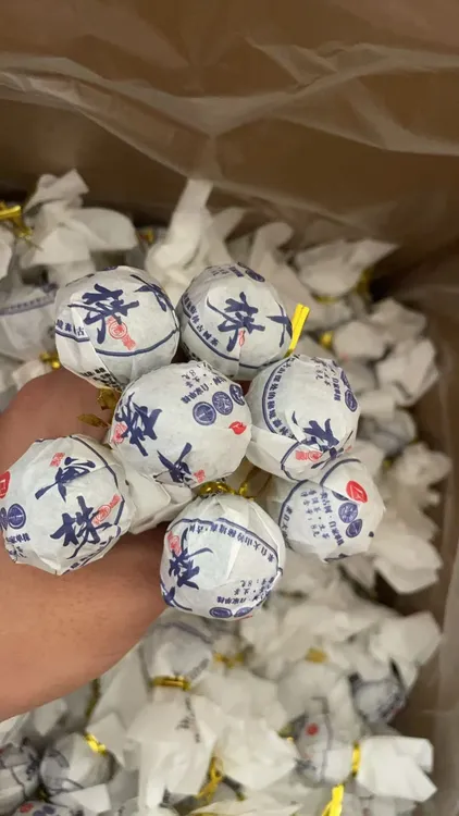 大雪山一类单株：  2025年头春龙珠普洱生茶    250g/罐