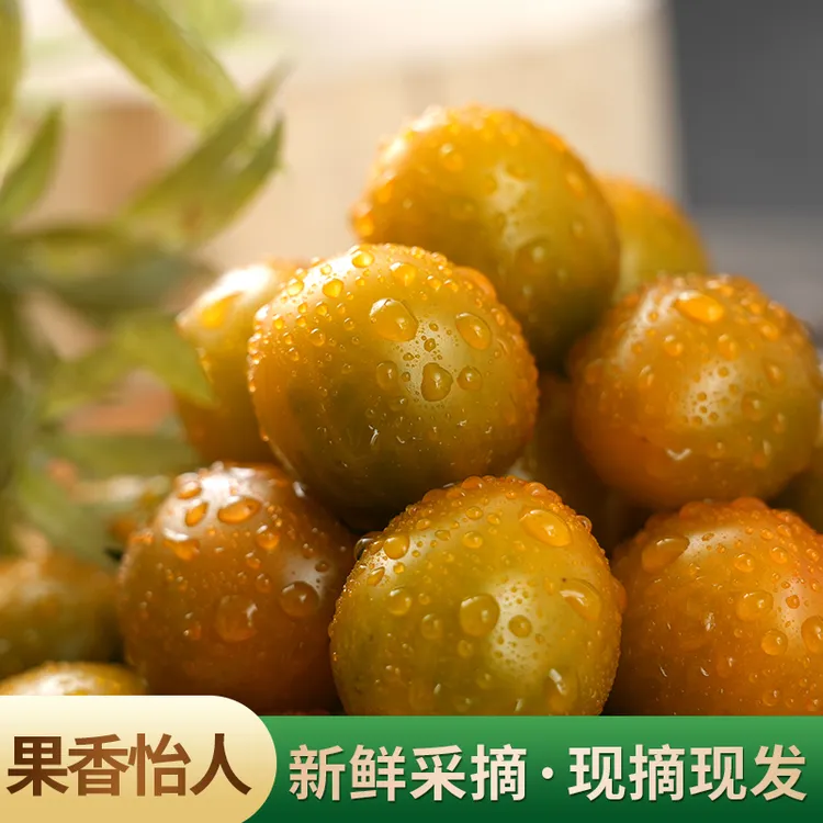 【顺丰包邮】产地直发酸甜可口糖珀琥小番茄新鲜现摘