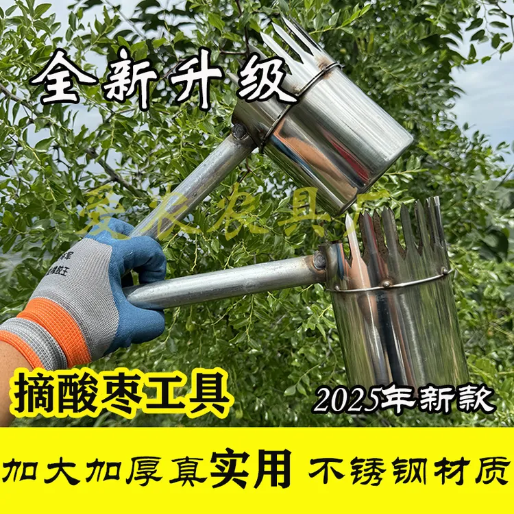 摘酸枣神器 酸枣野果采摘工具
