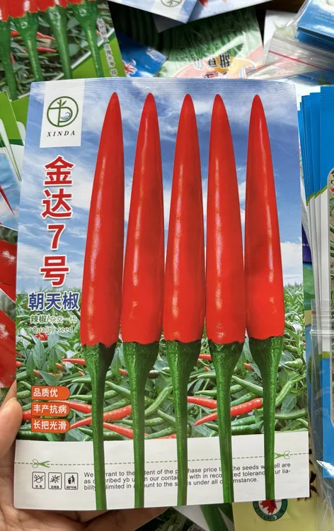 金达7号，中早熟大果型品种，产量高抗病强，果大硬度好，可青红两用