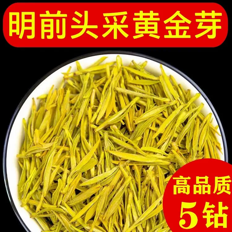 2025新茶黄金芽【5钻】头采明前春茶高山花香豆香爽口回甘