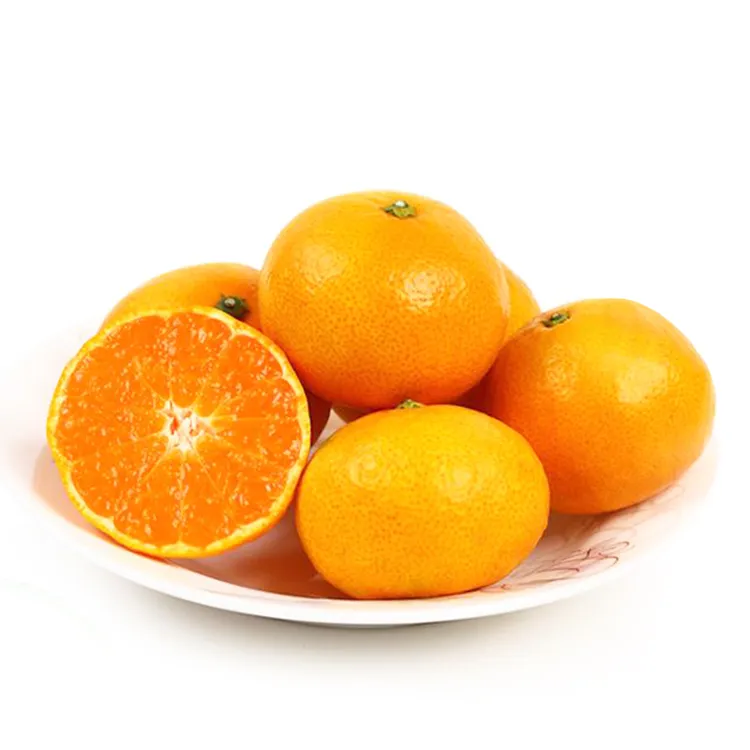 【原产地直发】正宗浙江临海涌泉蜜桔 新鲜橘子无籽蜜桔皮薄多汁