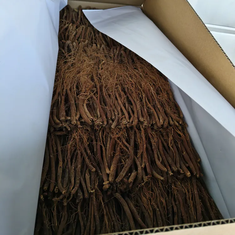 红参须一斤长白山脉人参红参农户直发