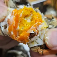 【当天现捕保活】盘锦稻田蟹河蟹母蟹稻蟹共生活蟹1-2两2斤顺丰空运