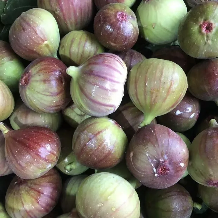 爆款热卖新鲜红皮无花果自然成熟皮薄肉产地现摘现发