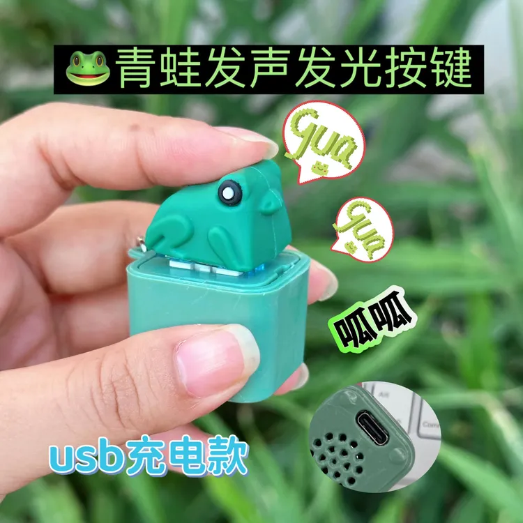 青蛙鸭子语音发声发光解压小玩具解压学生恶搞整蛊玩具充电款挂件