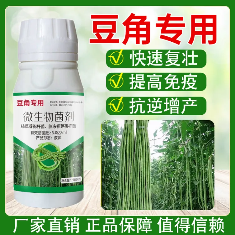 豆角种植好帮手提高豆角抗性增强免疫力抗性好快速复壮助力高产