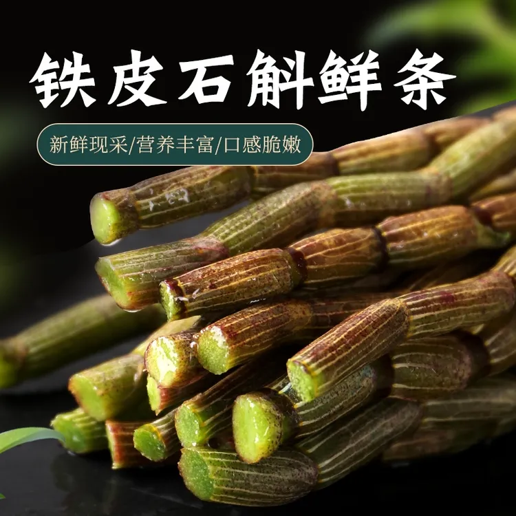 正宗云南铁皮石斛鲜条煲汤榨汁煮水云南特产新鲜石斛