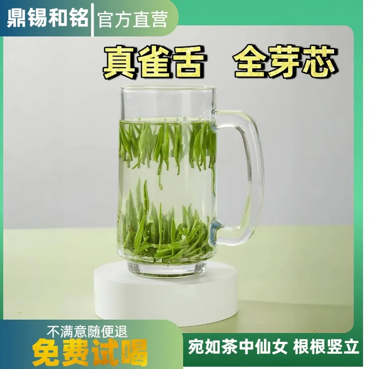嫩芽头绿茶无叶片嫩芽树立特级礼品茶叶芽芯级特级雀舌500g