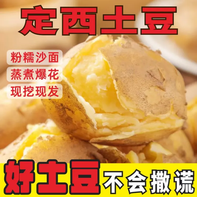 甘肃定西黄皮黄心土豆新鲜粉面沙质口感洋芋马铃薯