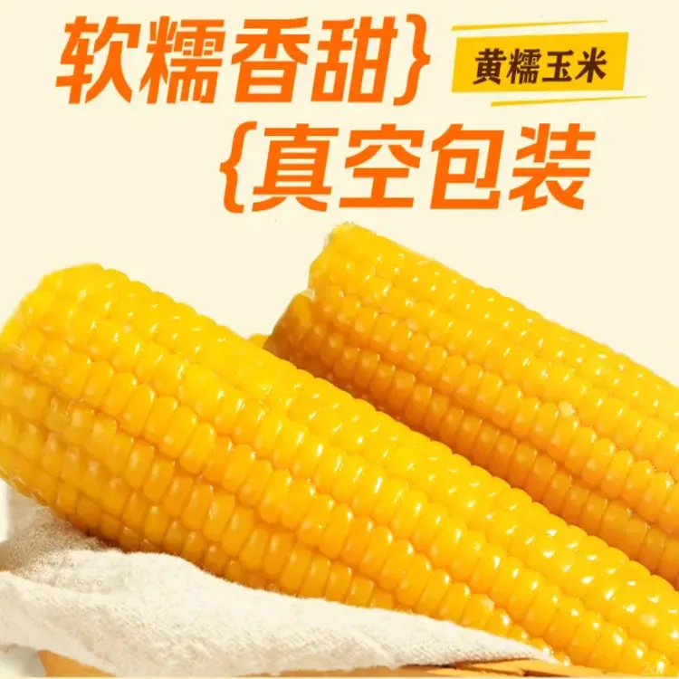 【东方推荐甄选】新疆黄糯玉米8根4斤真空锁鲜苞米早餐正宗甜糯玉米