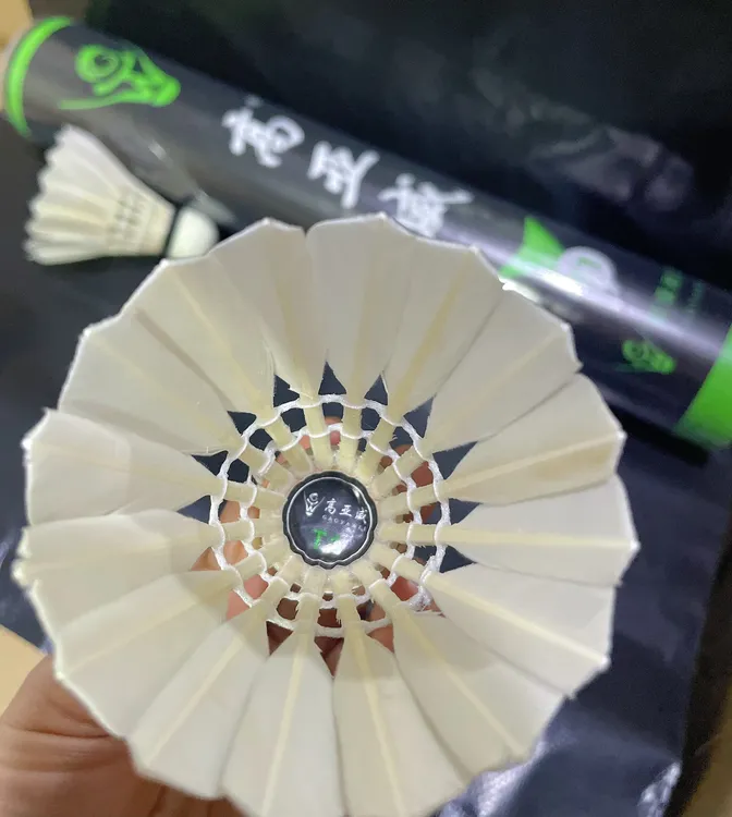反洗鹅大刀驼背耐打稳定兼顾对标精彩G6深蓝威肯训练口粮业余比赛