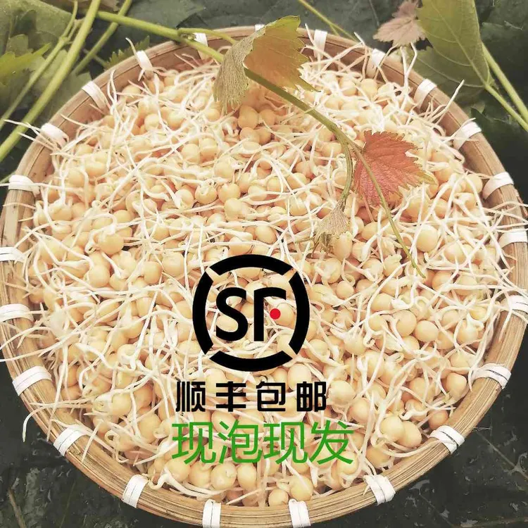 【顺丰包邮】贵州农家温水泡发豌豆芽