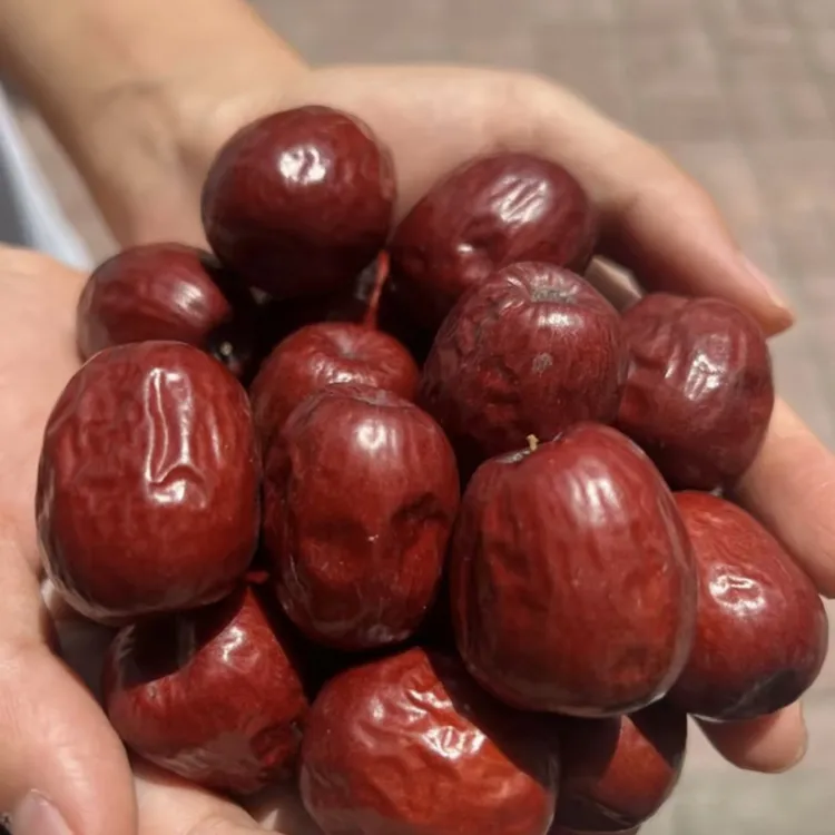 山西正宗稷山板枣干枣红枣肉厚核小可煲汤煮粥当零食好甜春节礼盒