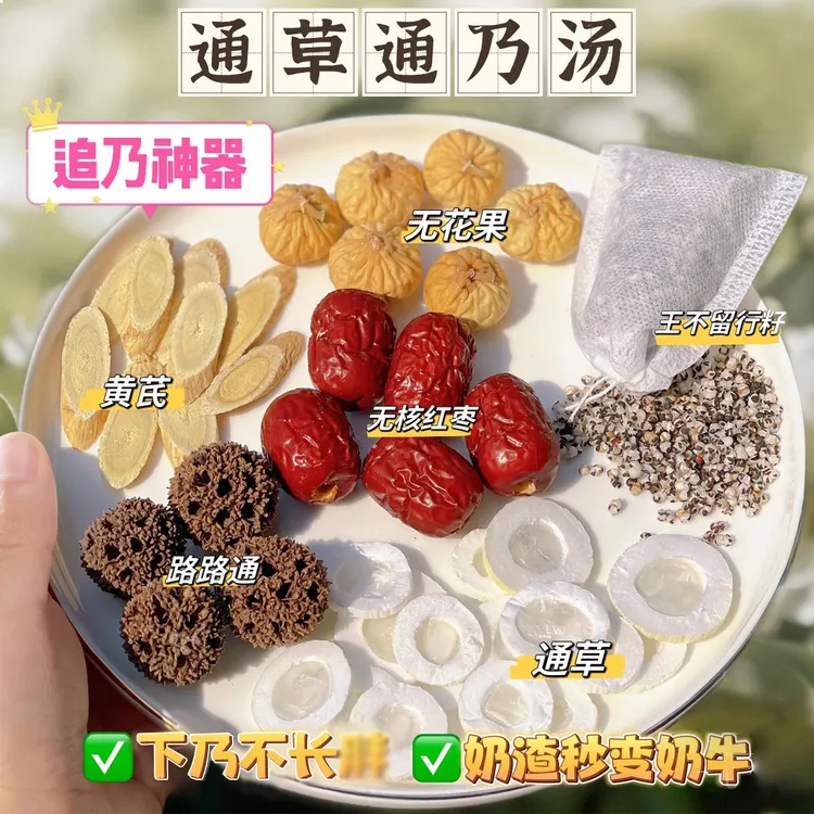 通草王不留行路路通材料包真材实料哺乳期养生茶新手妈妈喝的茶