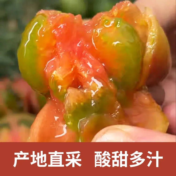 【手挑精选】高品质多汁铁皮西红柿自然熟  草莓番茄  孕妇水果