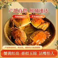 【活蟹】盘锦河蟹  （1.3-1两） 母蟹 到手24只  鲜活发货
