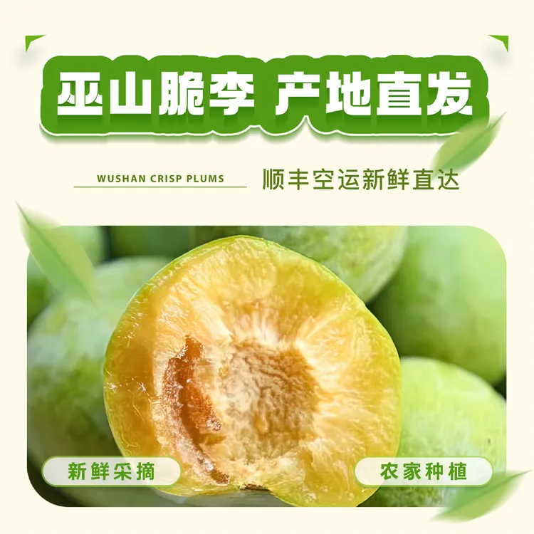 【顺丰特快】重庆巫山核心产区脆李 皮薄肉厚