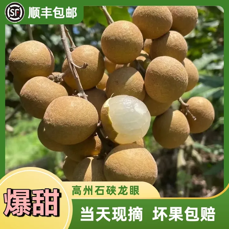 【顺丰包邮】广东高州特产正宗石硖龙眼新鲜采摘果园直发当季水果