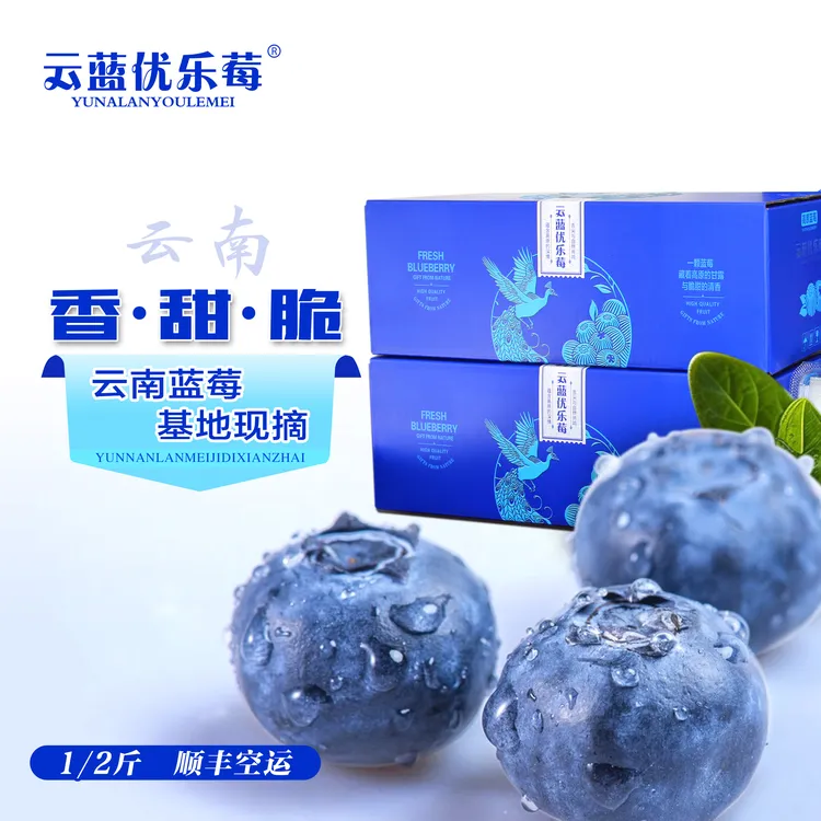 【正宗25花香蓝莓】云南蓝莓新鲜蓝莓1/2斤应季水果 全国顺丰包邮