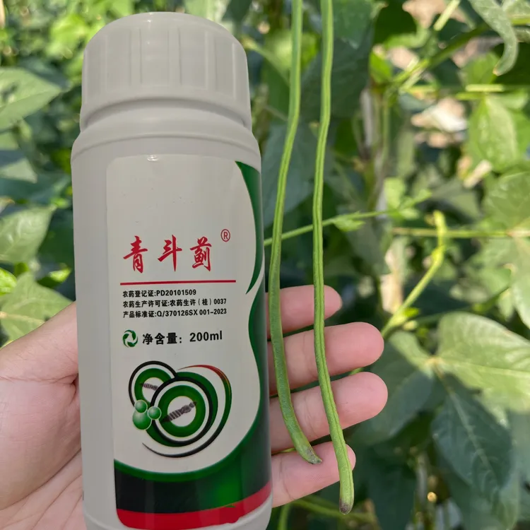 豆角蓟马特效杀虫药