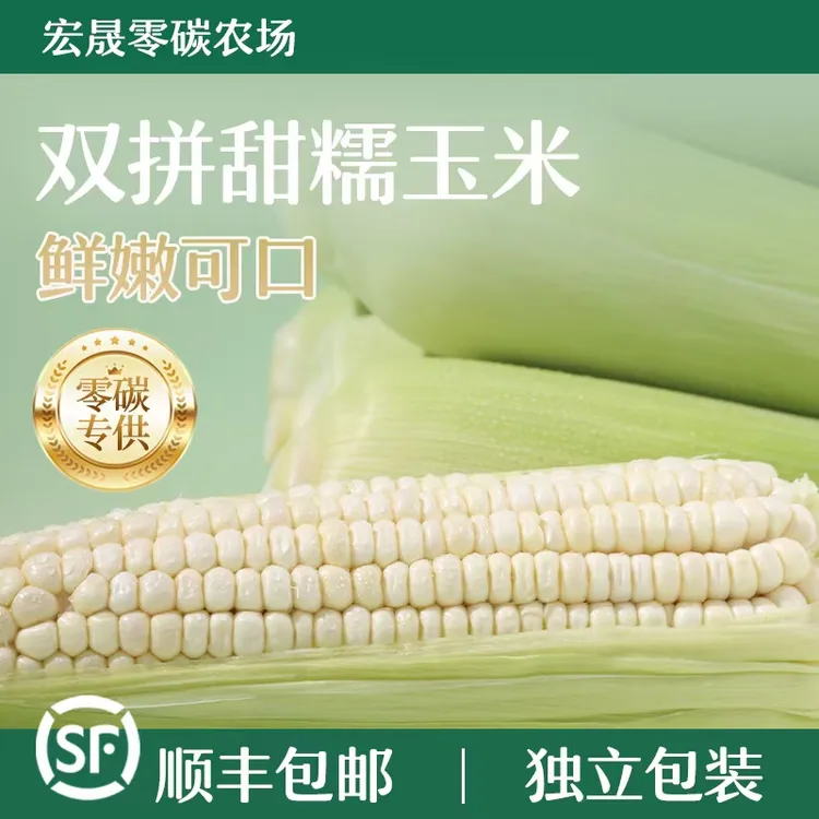 有机种植24h顺丰直达甜糯玉米新鲜甜玉米宏晟零碳农场