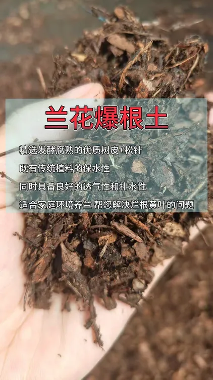 兰花爆根土 树皮➕松针发酵腐熟养根兰花专用植料月季绣球多肉土