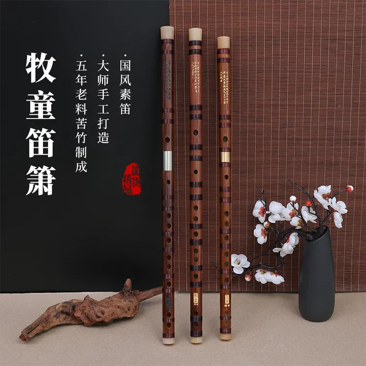 笛子乐器初学者十大品牌成人竹横笛学生专用G调EF降B升e调演奏级