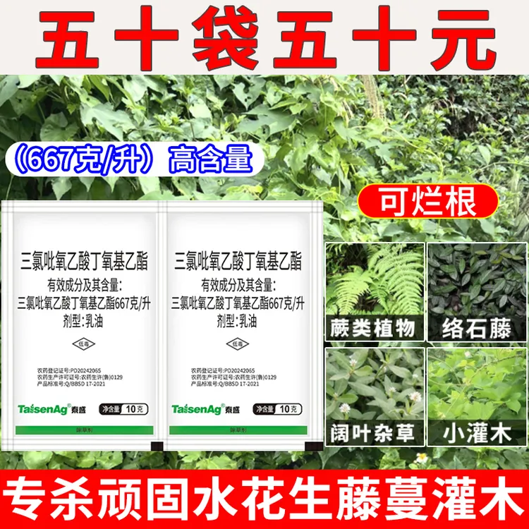 三氯吡氧乙酸除草剂除爬藤蔓水花生灌木络石藤阔叶葛根除草剂烂根