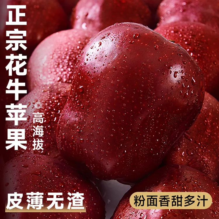 【产地直发】甘肃天水花牛苹果新鲜水果当季红蛇粉面丑果孕妇整箱