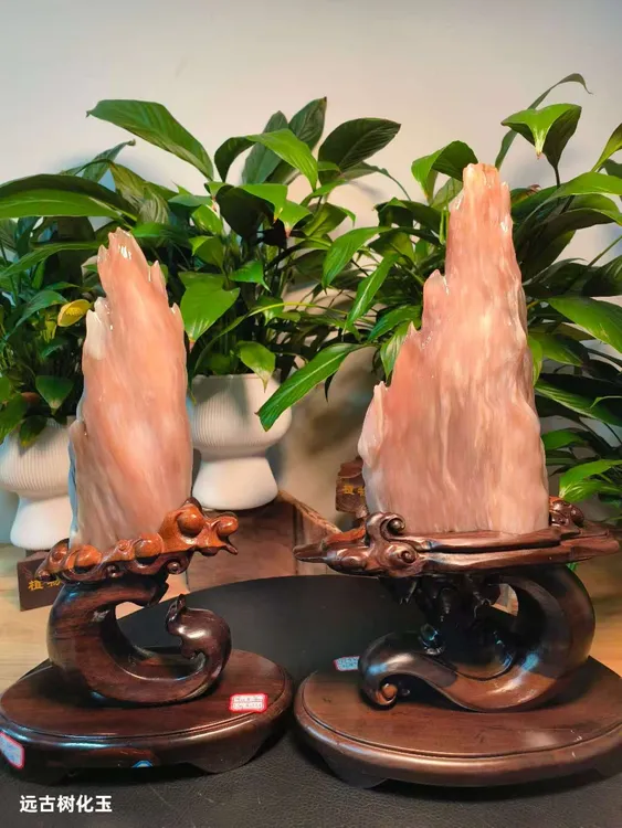 远古树化玉缅甸天然树化玉奇石摆件树化石木化玉玄关场景玉石摆件