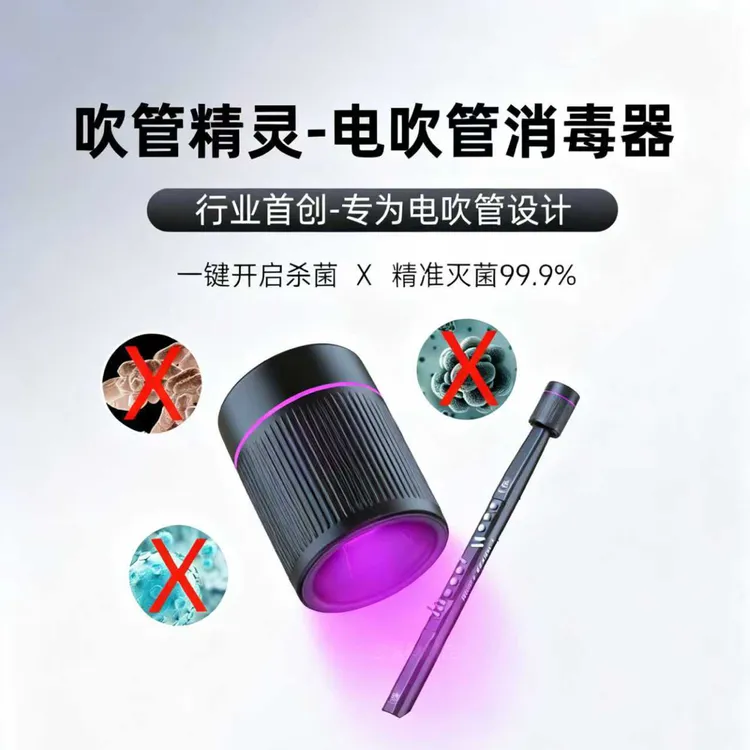 电吹管专用消毒器