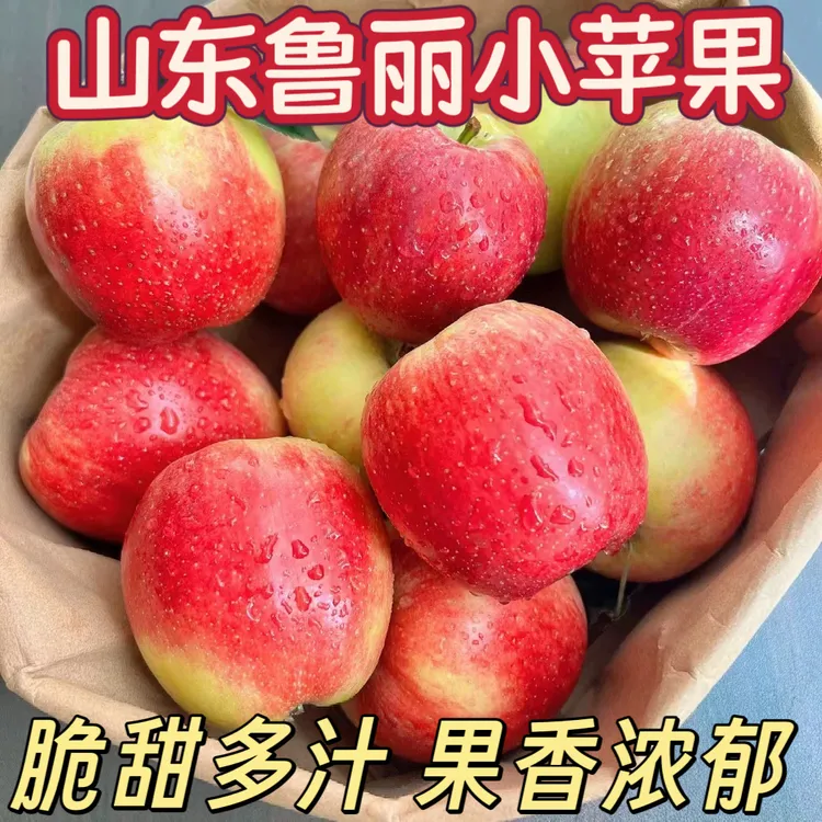山东现摘鲁丽小苹果脆甜苹果新鲜水果当季苹果