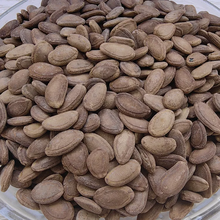 新疆原味吊瓜子(瓜娄子）500克