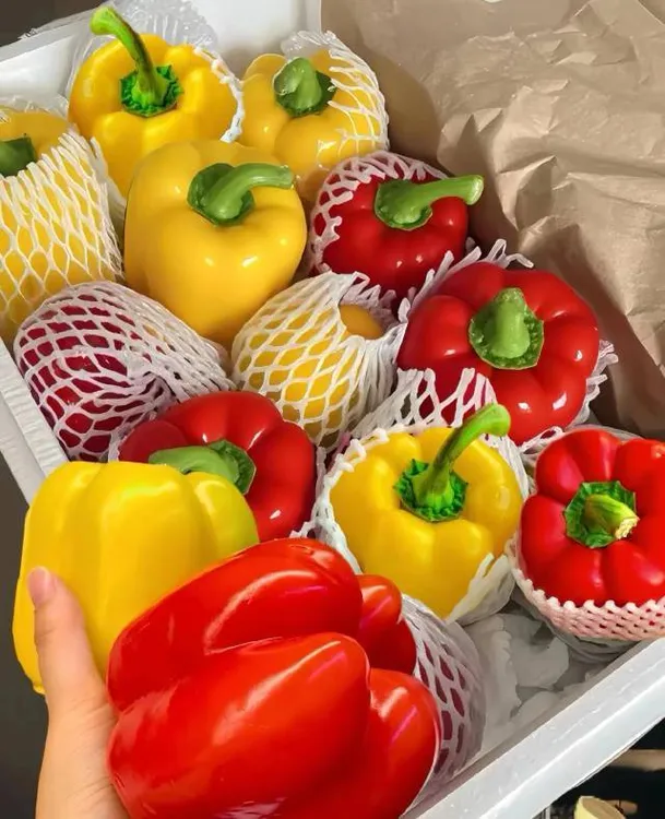 水果彩椒，红黄双色，口感微甜 6 枚装 新疆京东包邮