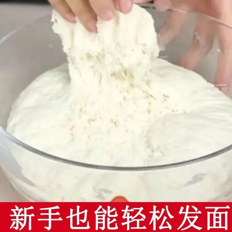 老面酵母蒸馒头酵引子天然面瓜曲制作发酵粉酵头传统特产脱水500g