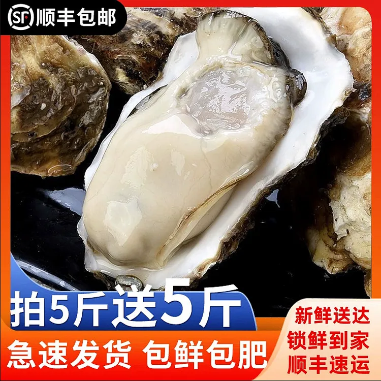 鲜活生蚝新鲜牡蛎海鲜水产特大海蛎子 买5斤送5斤